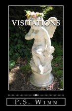 Visitations: 10 short stories of the paranormal
