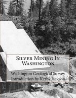 Silver Mining In Washington