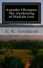 Asunder Olympus: The Awakening of MaKale Luis