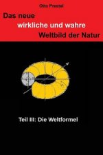 Das neue, wirkliche und wahre Weltbild der Natur III: Die Weltformel