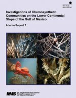Investigations of Chemosynthetic Communitites on the Lower Continental Slope of the Gulf of Mexico: Interim Report 2