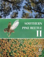 Southern Pine Beetle II