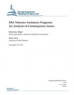SBA Veterans Assistance Programs: An Analysis of Contemporary Issues