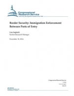 Border Security: Immigration Enforcement Between Ports of Entry