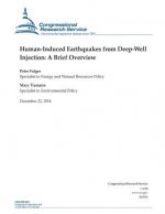 Human-Induced Earthquakes from Deep-Well Injection: A Brief Overview