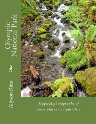 Olympic National Park: Magical photographs of quiet places and paradise