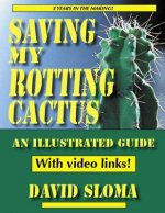 Saving My Rotting Cactus