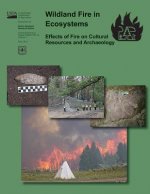 Wildland Fire in Ecosystems Effects of Fire on Cultural Resources and Archaeology