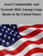 Asset Commonality and Systemic Risk Among Large Banks in the United States