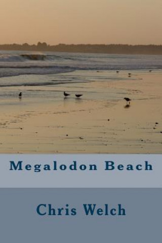 Megalodon Beach