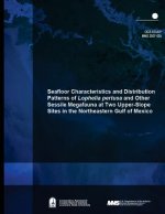 Seafloor Characteristics and Distribution Patterns of Lophelia pertusa and Other Sessile Megafauna at Two Upper-Slope Sites in the Northeastern Gulf o