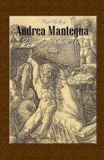 Andrea Mantegna: Drawings in Close Up