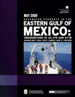 Deepwater Currents in the Eastern Gulf of Mexico: Observations at 25.5N and 87W