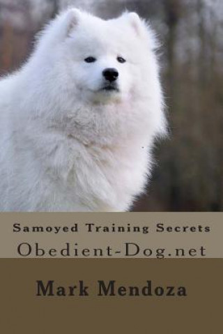 Samoyed Training Secrets: Obedient-Dog.net