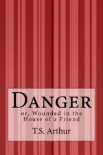 Danger: or, Wounded in the House of a Friend