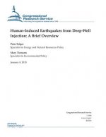 Human-Induced Earthquakes from Deep-Well Injection: A Brief Overview