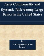 Asset Commonality and Systemic Risk Among Large Banks in the United States