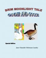 Gander and Goose: Brim Moonlight Tale