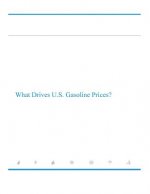What Drives U.S. Gasoline Prices