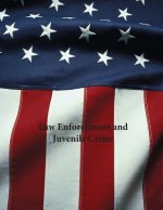 Law Enforcement and Juvenile Crime