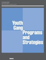 Youth Gang Programs and Strategies