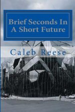 Brief Seconds In A Short Future: The Rapid Eternity