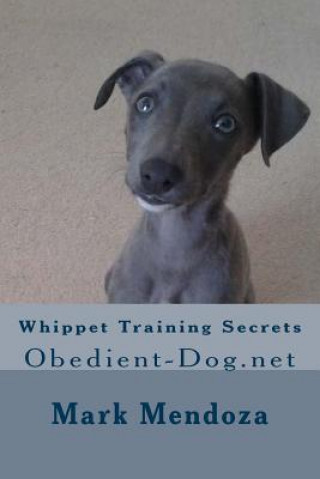 Whippet Training Secrets: Obedient-Dog.net