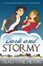 Dark and Stormy: A Tillgiven Romantic Mystery