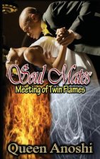Soul Mates: Meeting of Twin Flames
