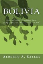 Bolivia: Diez ensayos esenciales para comprender el 