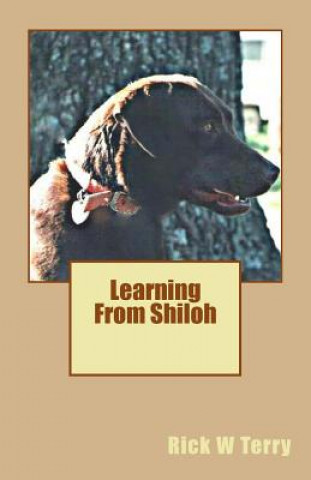 Learning From Shiloh