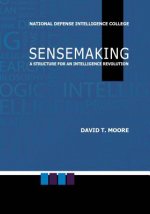 Sensemaking: A Structure for an Intelligence Revolution