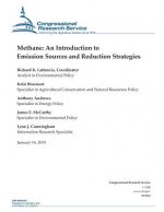 Methane: An Introduction to Emission Sources and Reduction Strategies