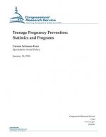 Teenage Pregnancy Prevention: Statistics and Programs