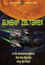 Gunship Zeltairex: The Firearms Log Disguised as a Novel