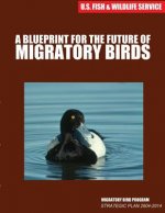 A Blueprint for the Future of Migratory Birds: Migratory Bird Program Strategic Plan 2004-2014