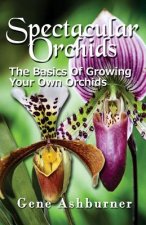 Spectacular Orchids: The Basics Of Growing Your Own Orchids