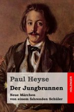 Der Jungbrunnen: Neue Märchen von einem fahrenden Schüler