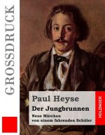 Der Jungbrunnen (Großdruck): Neue Märchen von einem fahrenden Schüler