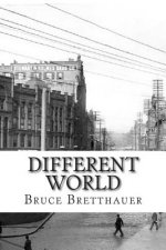 Different World: A Gina Stone Mystery