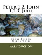 Peter1,2john1,2,3, Jude: Stone Tender Bible Studies