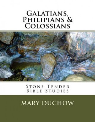 Galatians, Philippians & Colossians: Stone Tender Bible Studies