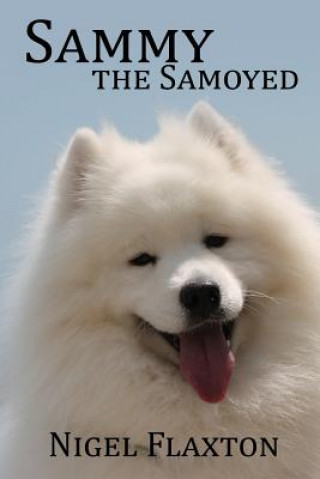 Sammy the Samoyed