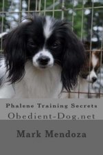 Phalene Training Secrets: Obedient-Dog.net