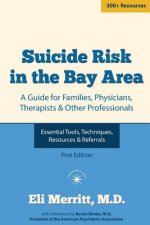 Suicide Risk in the Bay Area