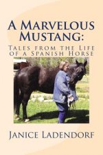 A Marvelous Mustang: : Tales from the Life of a Spanish Horse