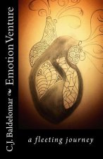 Emotion Venture: A Fleeting Journey