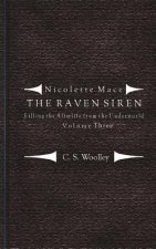 Filling the Afterlife from the Underworld: Volume 3: Notes from the case files of the Raven Siren