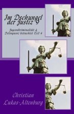 Im Dschungel der Justiz 9: Jugendkriminalität & Delinquenz betrachtet Teil 4