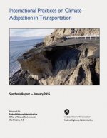 International Practices on Climate Adaptation in Transportation: Findings from a Virtual Review